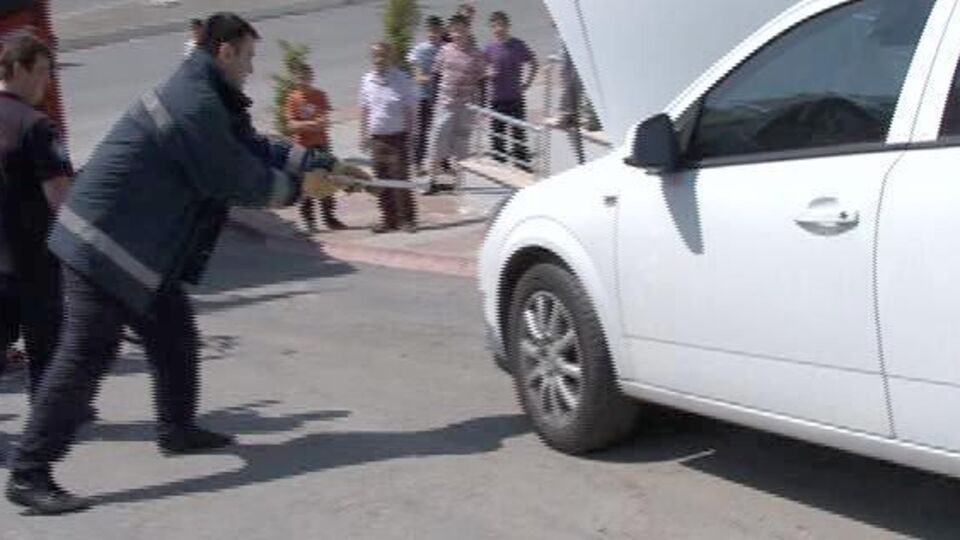 İstanbul'u yılanlar bastı!