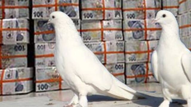 Talih Kuşu 'kötü yola' düştü!