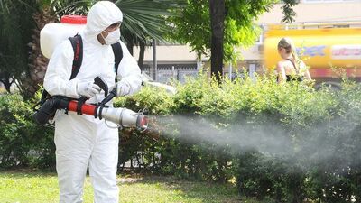 Kene mücadelesinde yapılan yanlışlar!