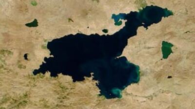 Van Gölü'nde mucize! GALERİ