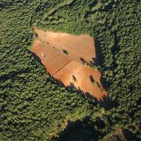 2B çılgınlığı!