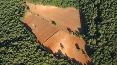 2B çılgınlığı!