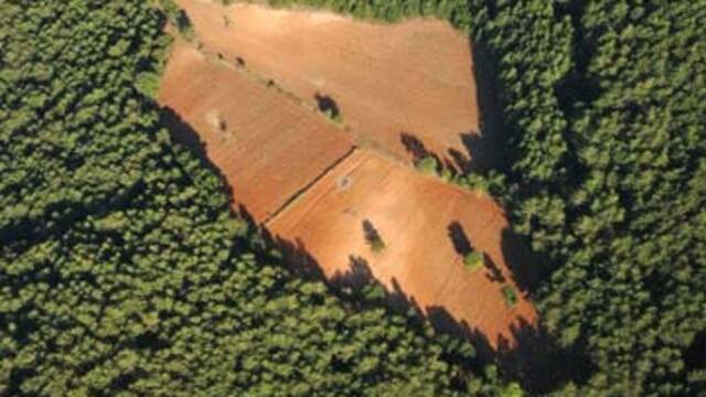 2B çılgınlığı!