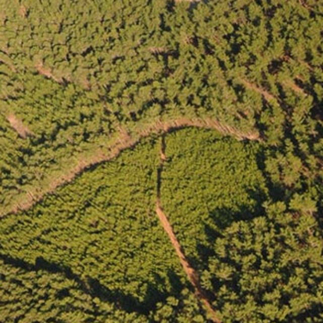 2B karaborsaya düştü!