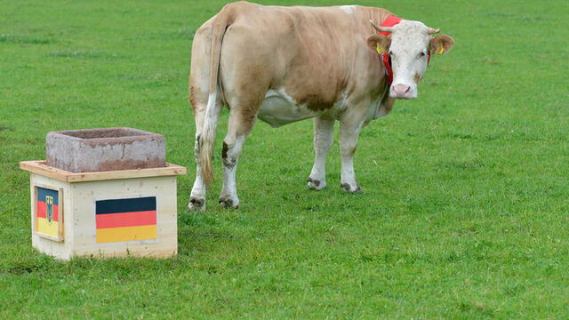 Panzer’e pas vermedi!