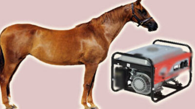 Rize'de fıkra gibi olay! GALERİ