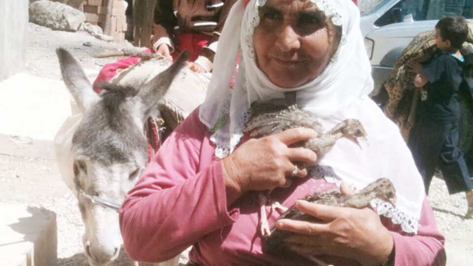 60 bin kadın sigortalandı