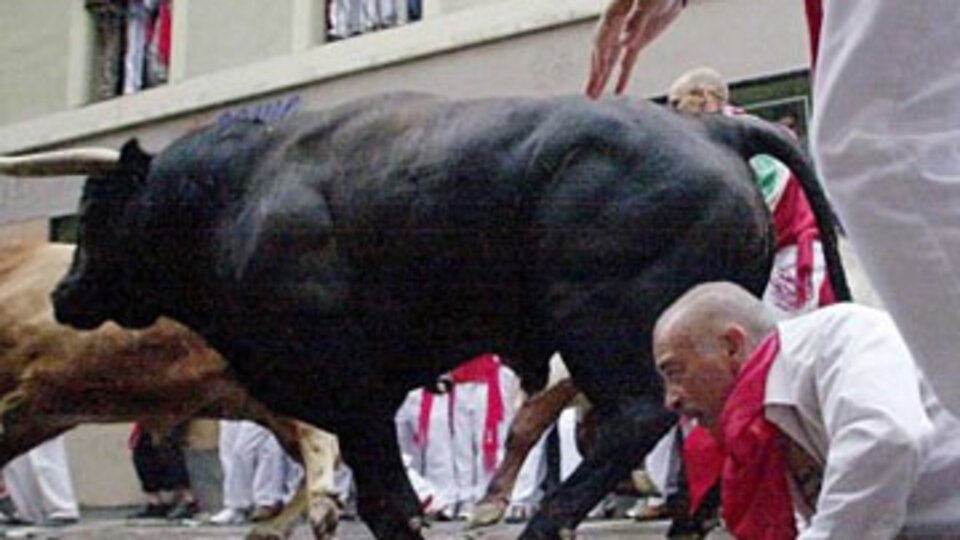 "Boğalardan kaçma" turu!