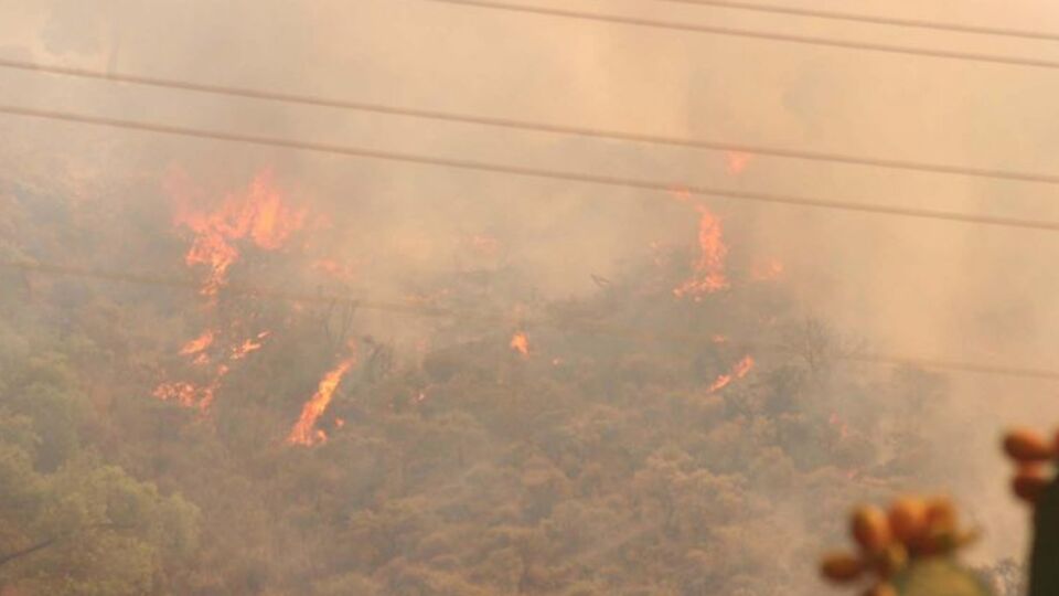 Heybeliada'daki yangın kontrol altında
