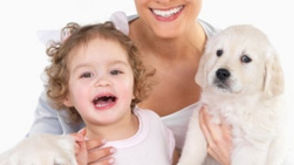 Evde hayvan besleyenler dikkat!