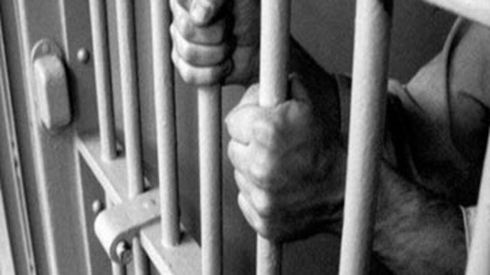 'DAL' grubu işkenceden ifade veriyor