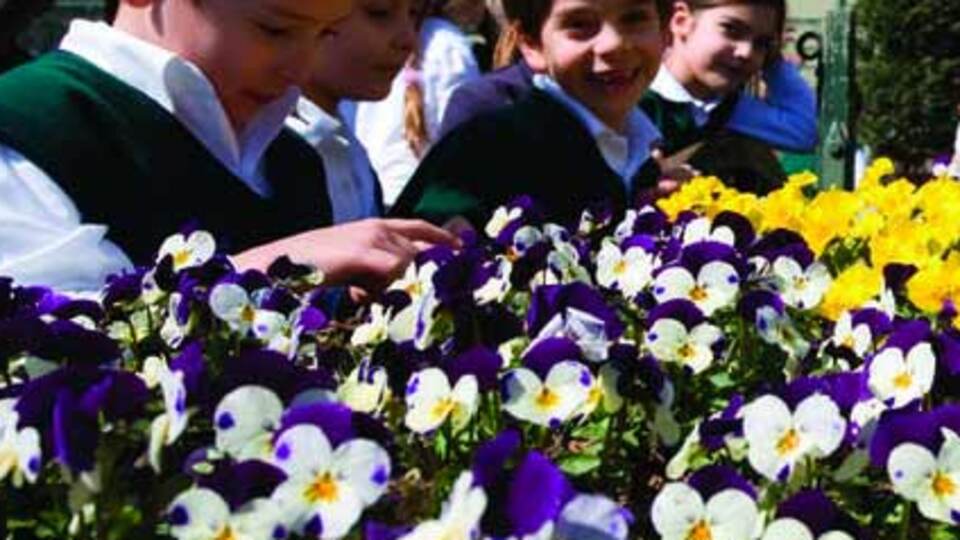 Milli Eğitim'den 60-72 aylık çocuklar için kamp