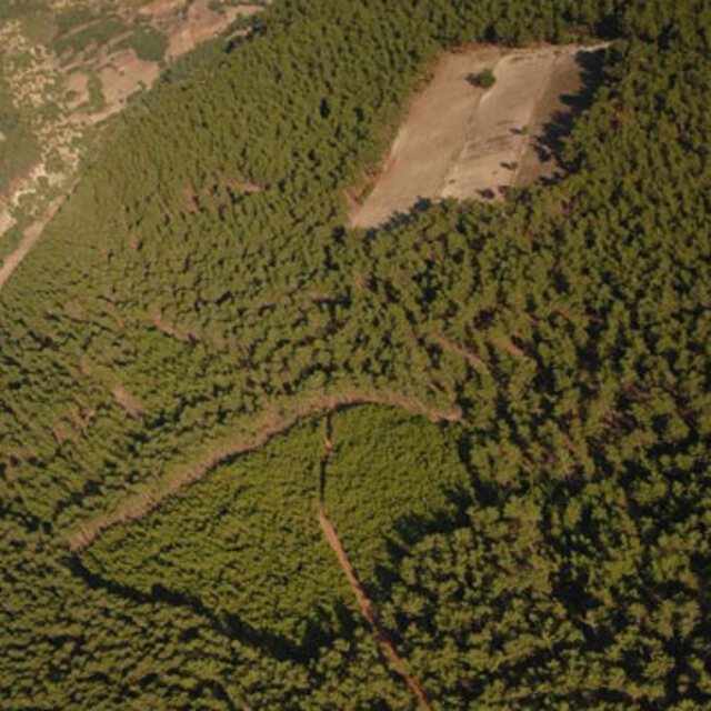 2B arazisi için kaç kişi başvuru yaptı?