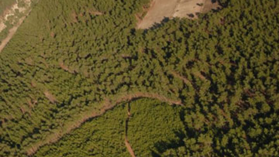 2B arazisi için kaç kişi başvuru yaptı?