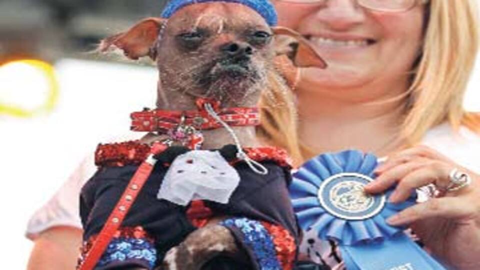 İşte dünyanın en çirkin köpeği!