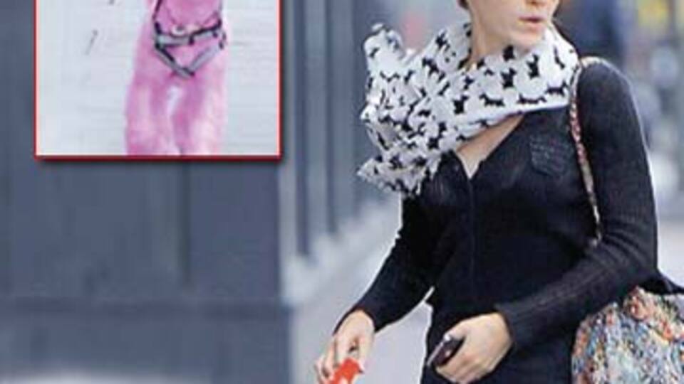 Köpeğini pembeye boyattı!