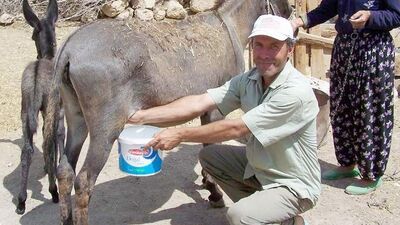 "Eşek sütü haram"