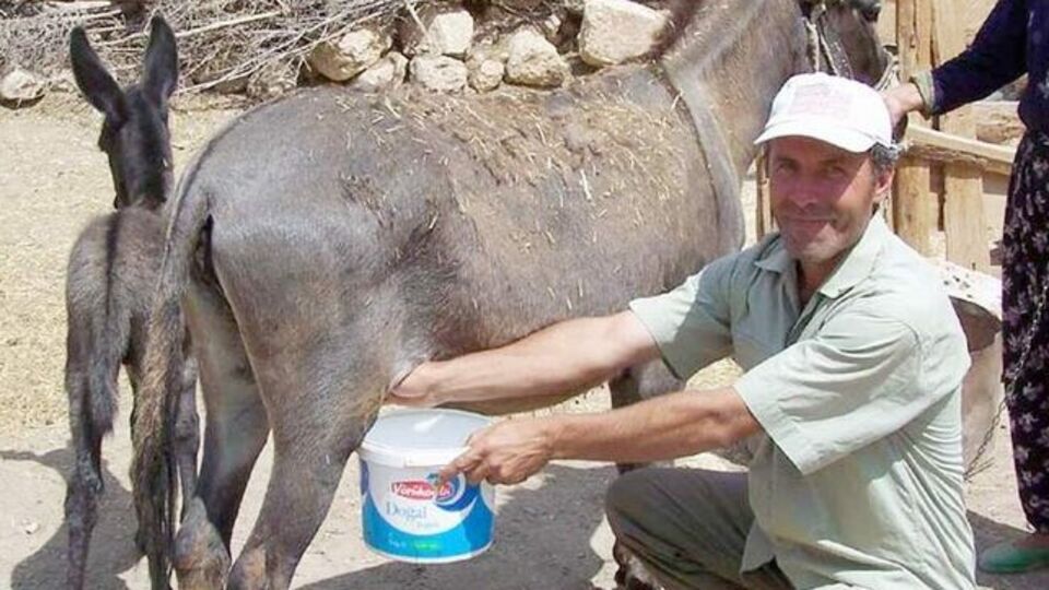 "Eşek sütü haram"