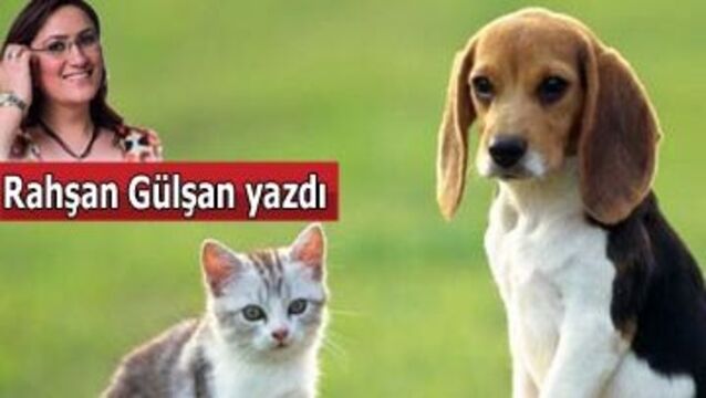Benim çocuğumu kimse öldüremez!