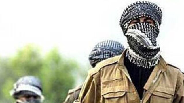 O PKK'lı yakalandı