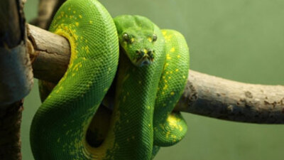 Bugüne kadar bildiklerinizi unutun!