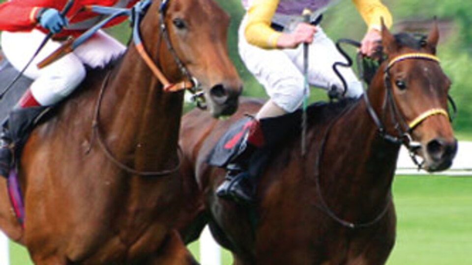 Veliefendi nasıl dört nala koşuyor?