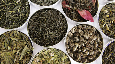 Bitkilerle ayağa kalktı