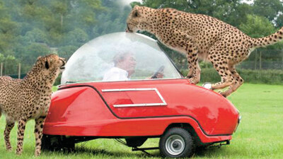 Test yapayım derken!