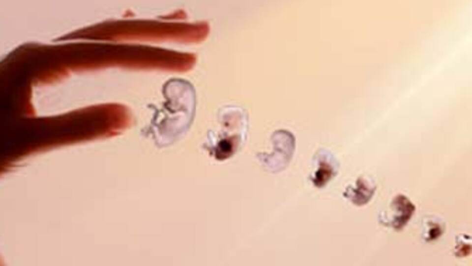 Kürtaj yaptıran kadına hapis!