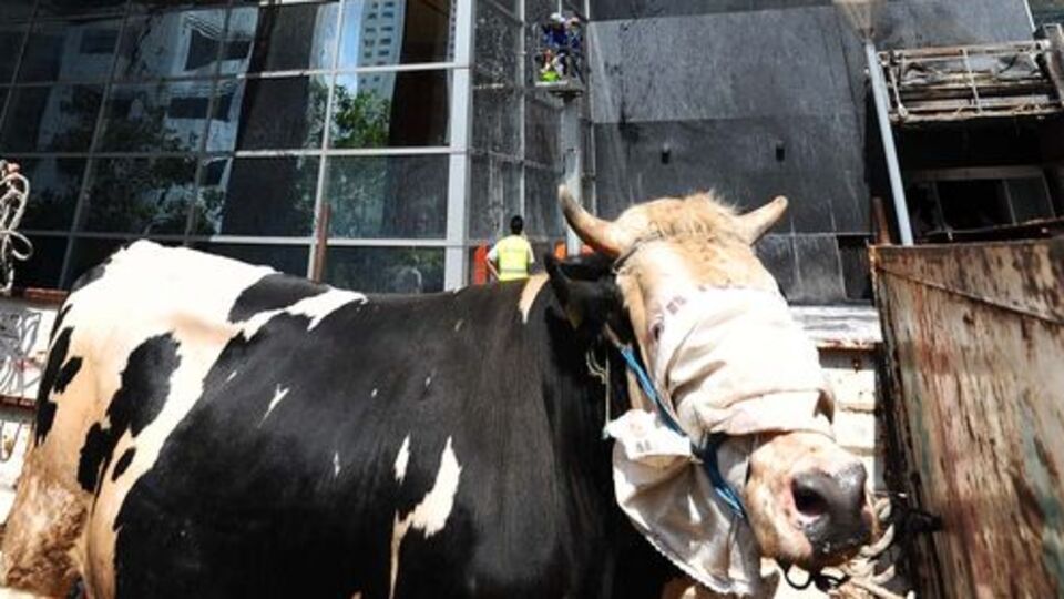 "1998'de ısıya dayanıklı malzeme çıkmamıştı"