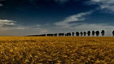 Sudan tasarruflu Ziya Bey mucizesi!
