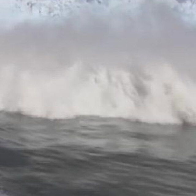 Tsunami dehşeti!