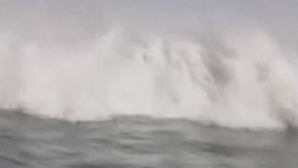 Tsunami dehşeti!
