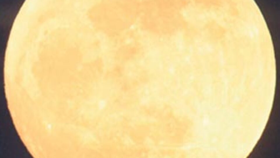 Aydan arsa aldılar!