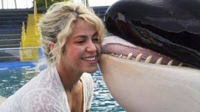 Katil balinadan öpücük!