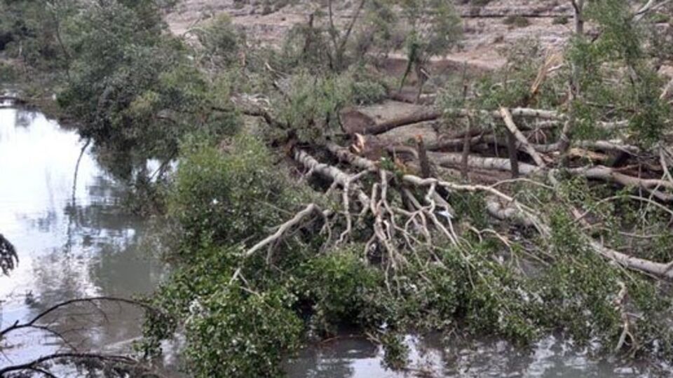 Kütahya'daki hortum ağaçları söktü