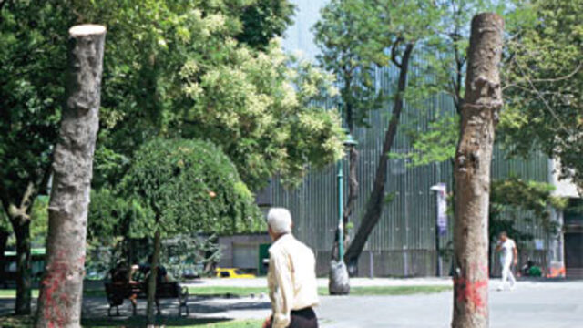 İstanbulluları çıldırtan görüntü!