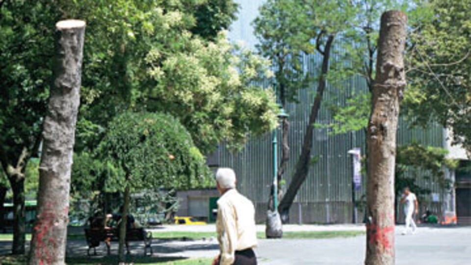 İstanbulluları çıldırtan görüntü!