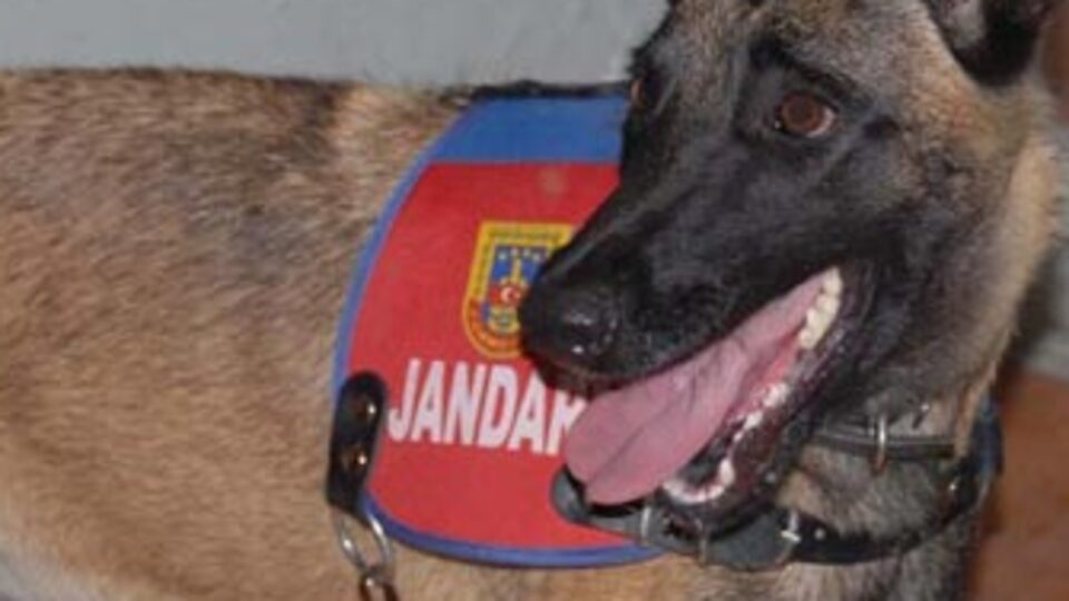 Jandarma'dan nefes kesen baskın