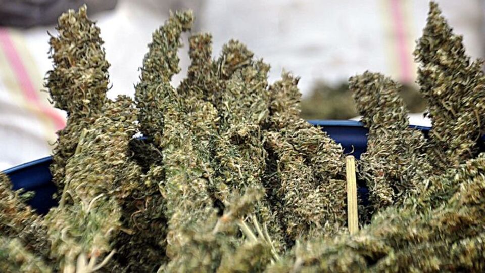 PKK'ya büyük darbe!