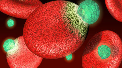 Kansere nokta mı konuyor?