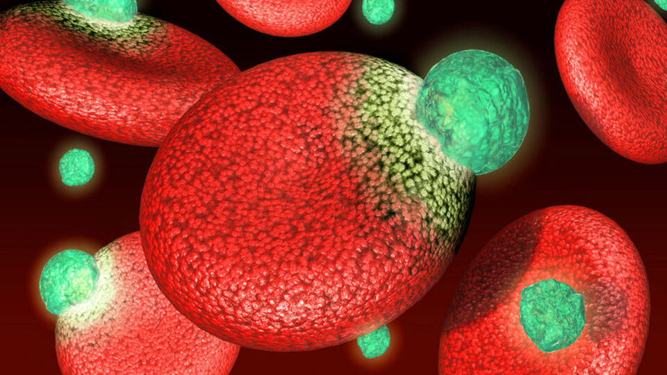 Kansere nokta mı konuyor?