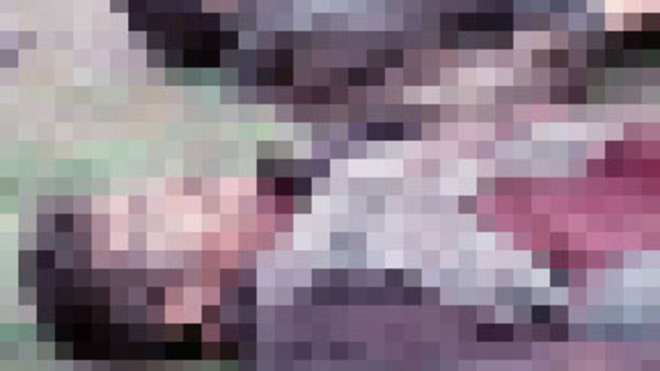 O hainlerden 2'si öldürüldü