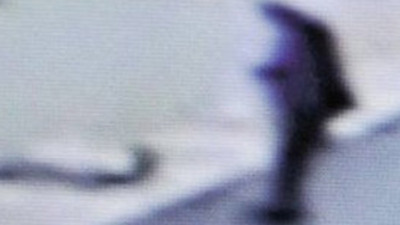 Köpekle ilişkiye giren sapık...