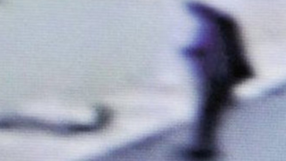 Köpekle ilişkiye giren sapık...