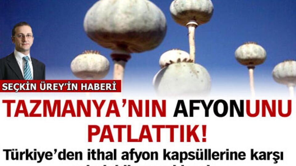 Tazmanya'nın afyonunu patlattık!