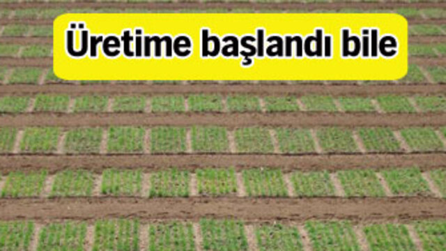 Milyarlarca dolar harcamaya son!