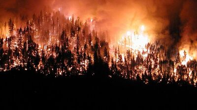 Datça'da orman yangını