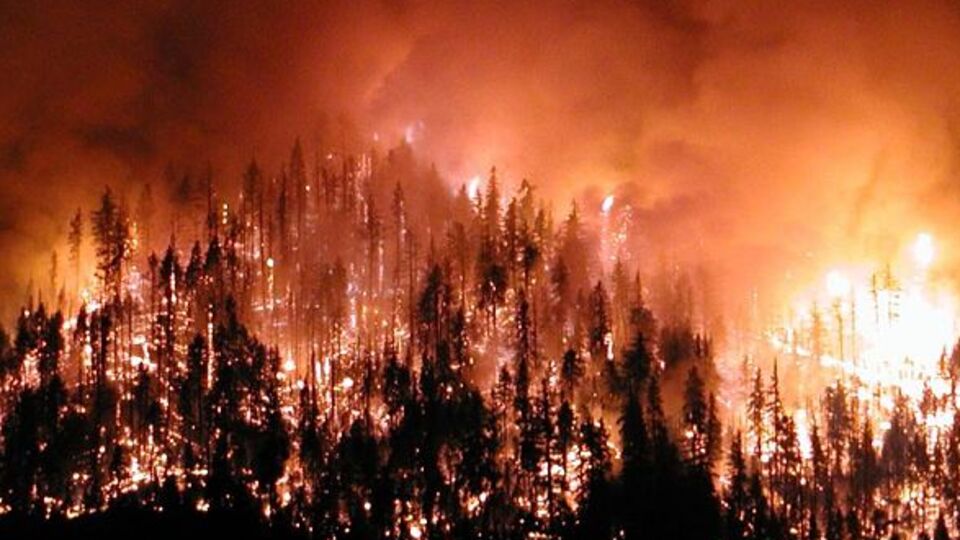 Datça'da orman yangını