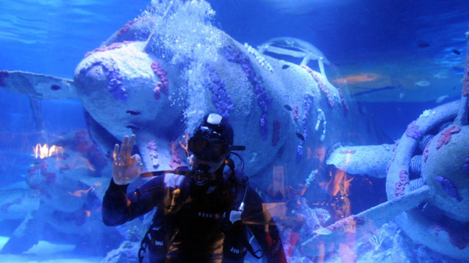 Antalya'da dev akvaryum!